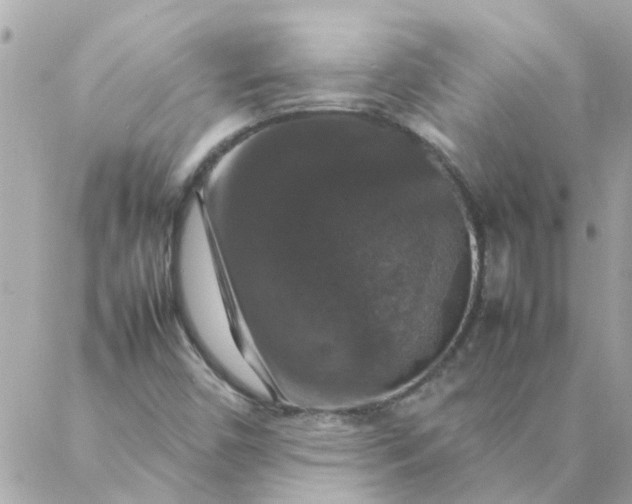 X0000087371450200705041908