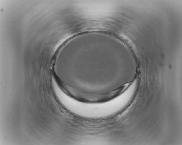 X0000087371457200705041908