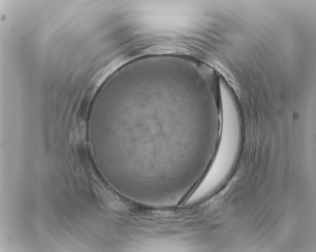 X0000087371465200705041908