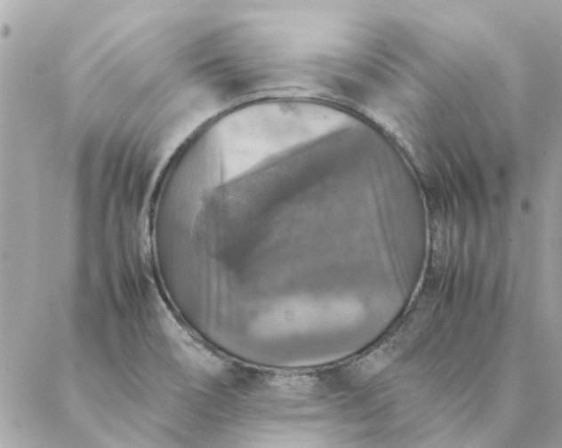 X0000087371466200705041908
