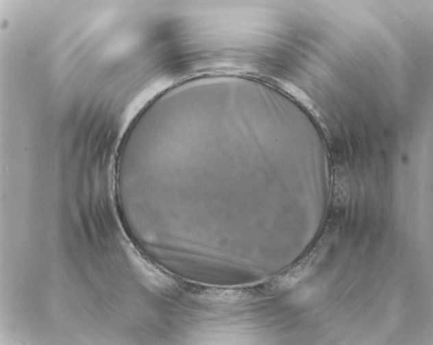 X0000087371474200705041908