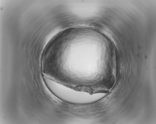 X0000087371483200705041908