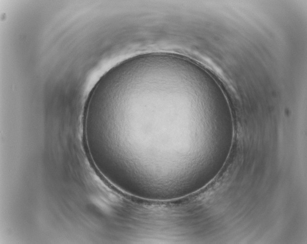 X0000087371512200705041907
