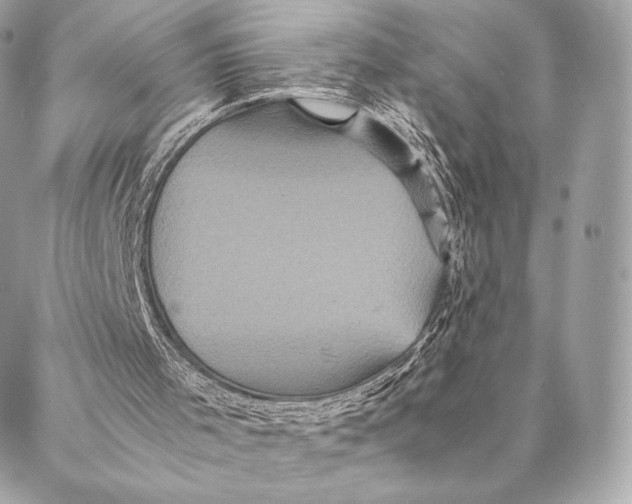 X0000087370001200705111722