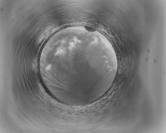 X0000087370002200705111722