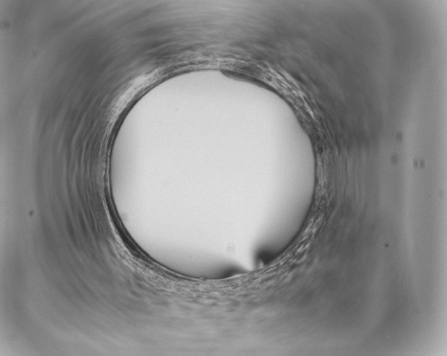 X0000087370003200705111722