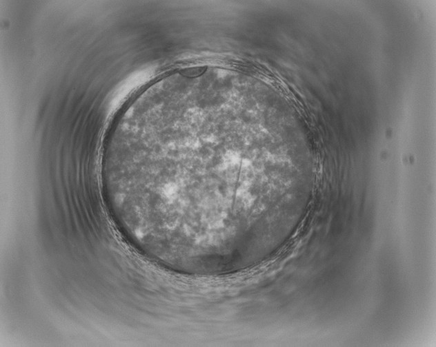 X0000087370006200705111722