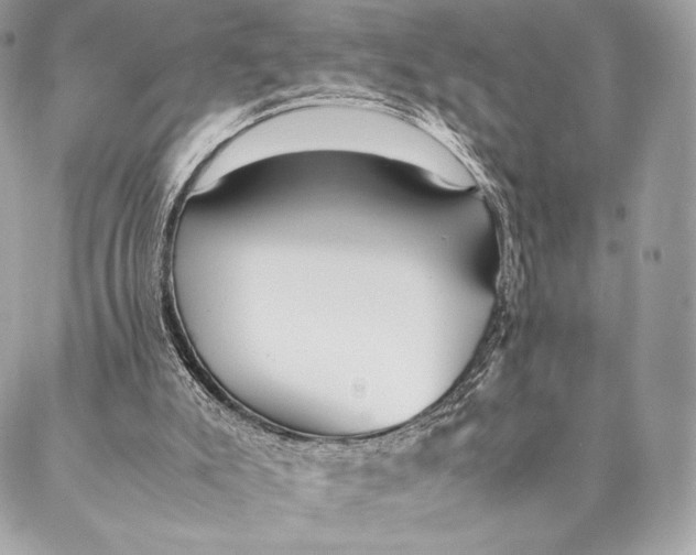 X0000087370007200705111722