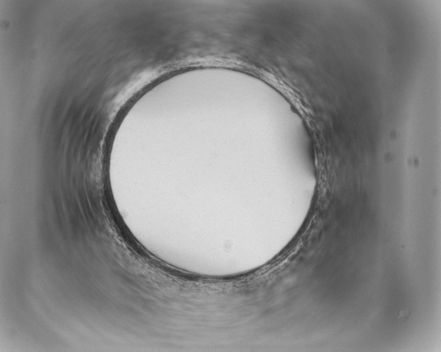 X0000087370008200705111722