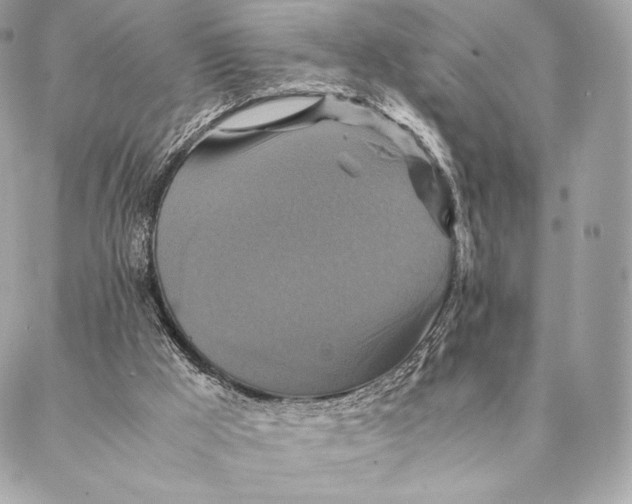 X0000087370009200705111722