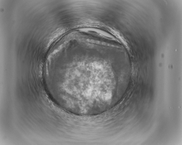 X0000087370010200705111722