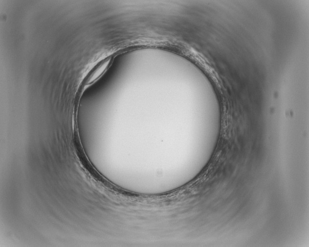 X0000087370011200705111722