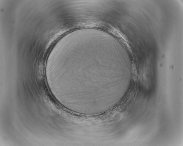 X0000087370012200705111722