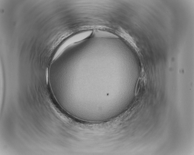 X0000087370013200705111722