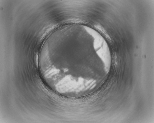 X0000087370014200705111722