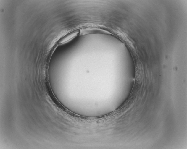 X0000087370015200705111722