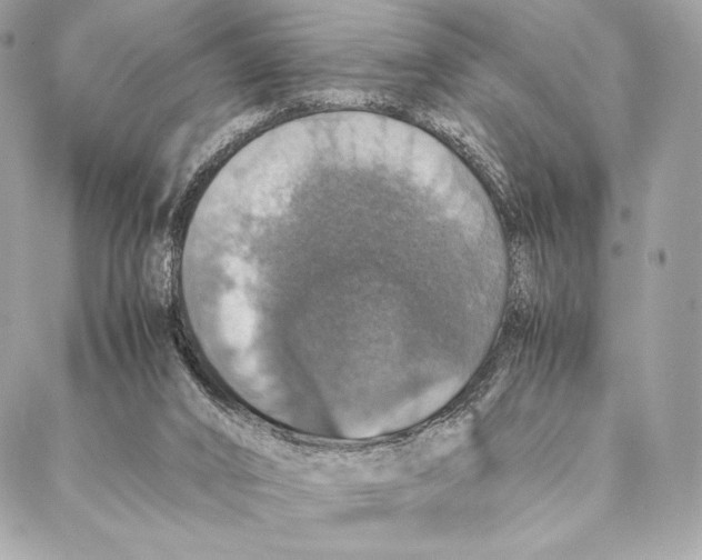 X0000087370016200705111722