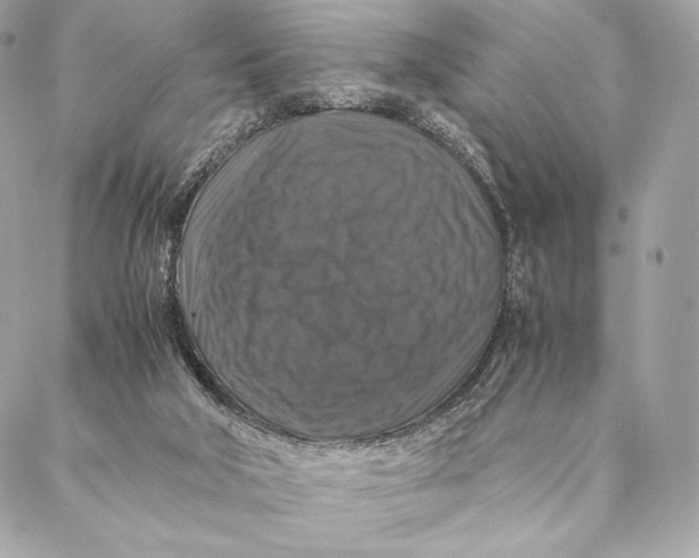 X0000087370018200705111722