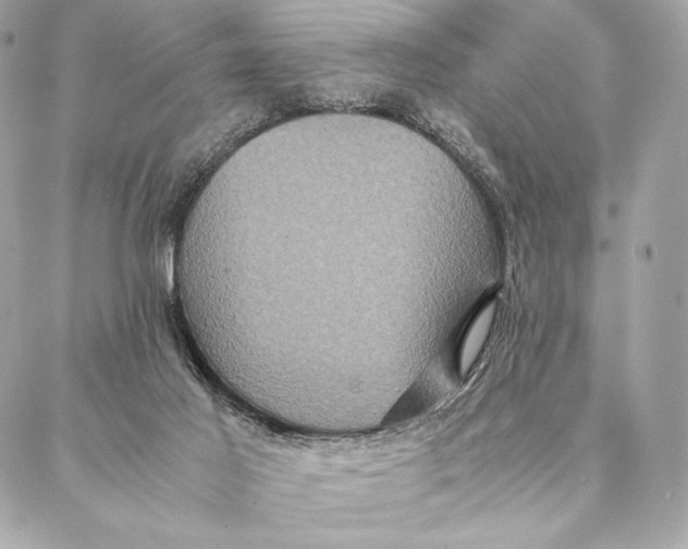 X0000087370021200705111722