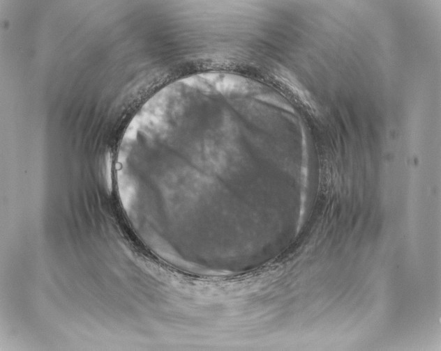 X0000087370022200705111722