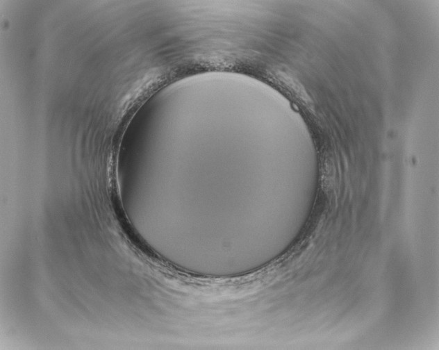 X0000087370023200705111722