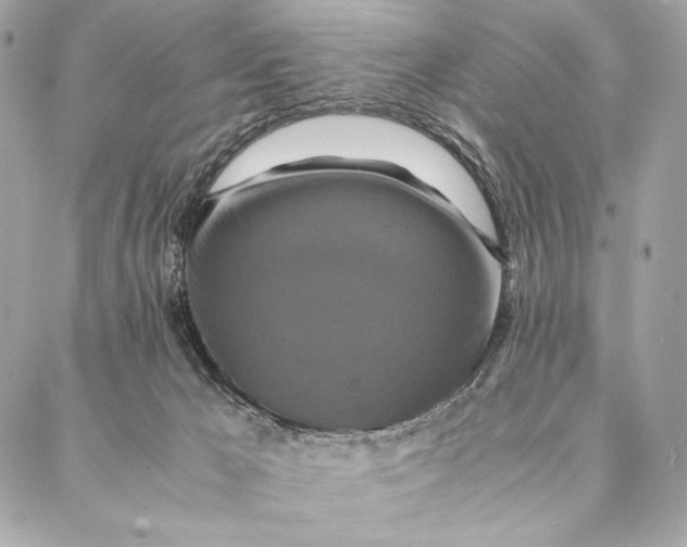 X0000087370029200705111721