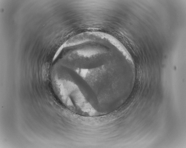 X0000087370030200705111721