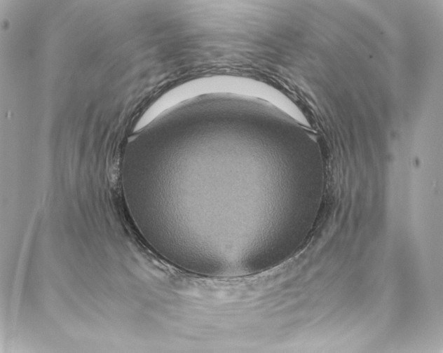 X0000087370033200705111721