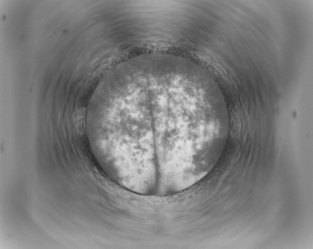 X0000087370034200705111721