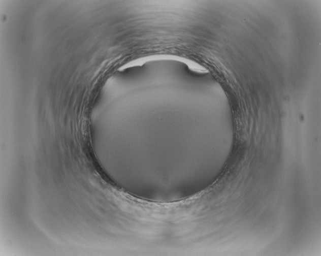 X0000087370035200705111721