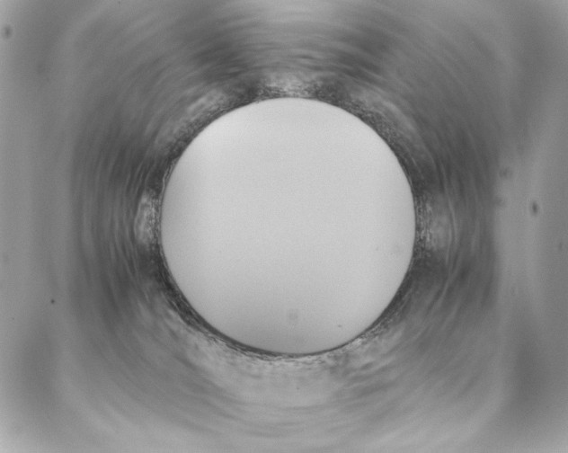 X0000087370036200705111721