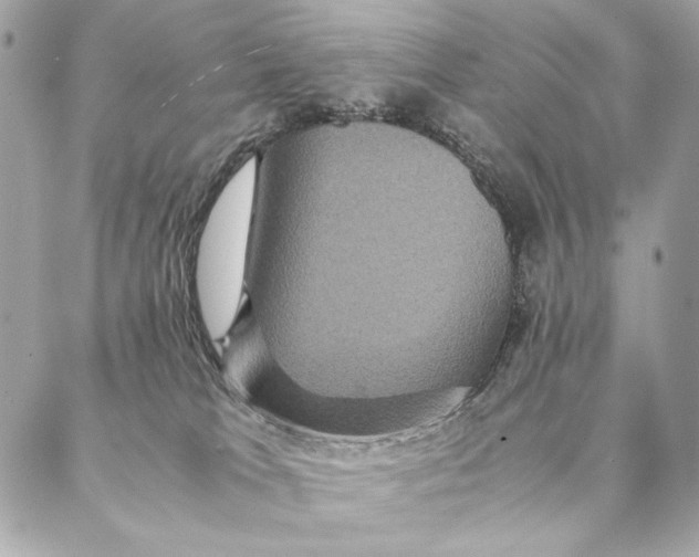 X0000087370037200705111721