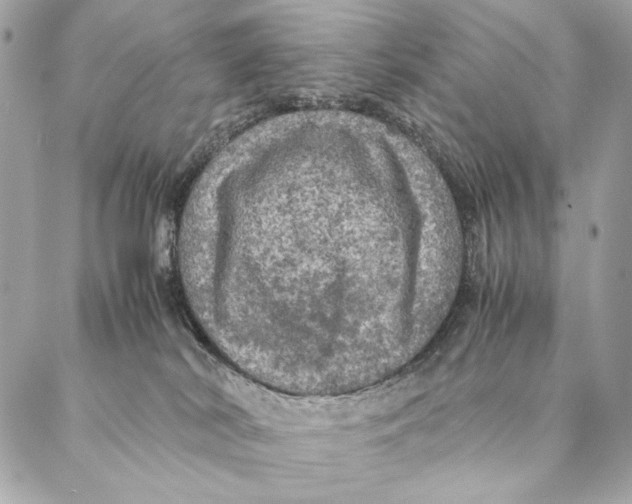 X0000087370038200705111721