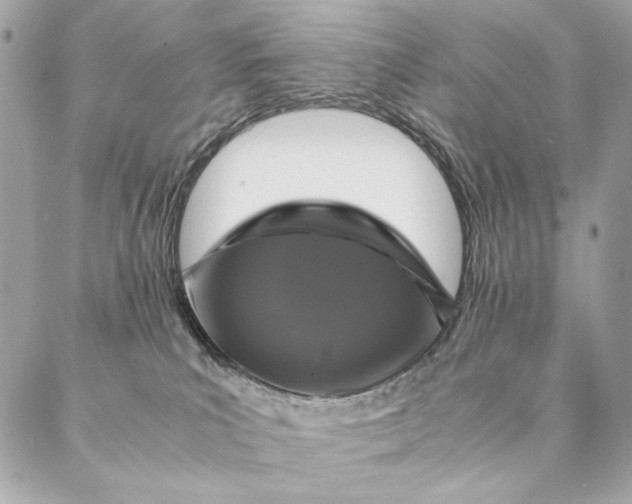 X0000087370039200705111721