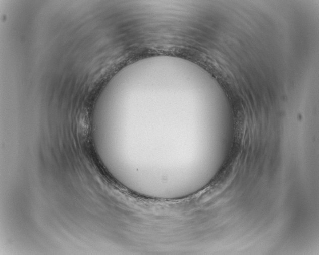 X0000087370040200705111721