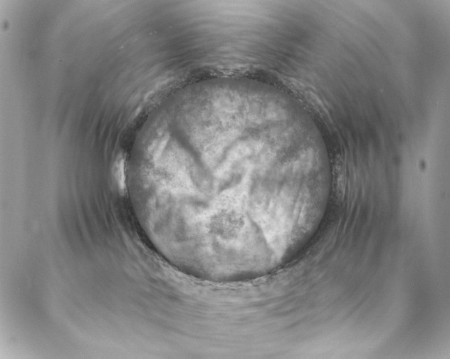 X0000087370042200705111721