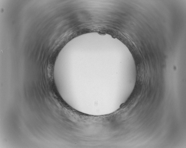 X0000087370044200705111721