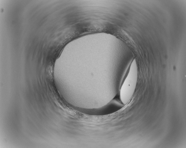 X0000087370045200705111721