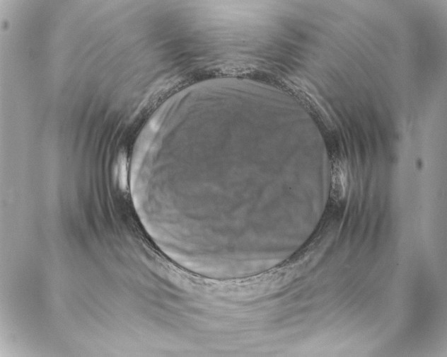 X0000087370046200705111721