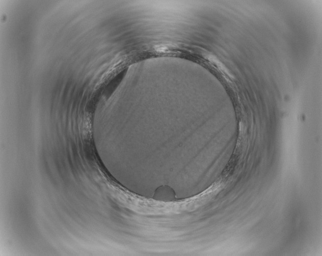 X0000087370048200705111721