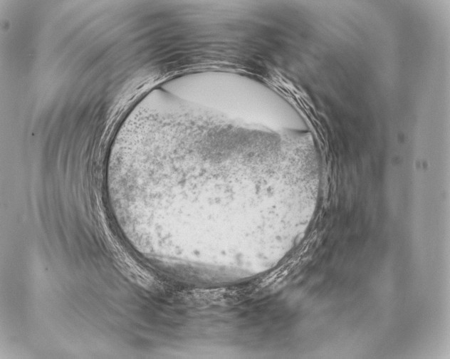 X0000087370049200705111720