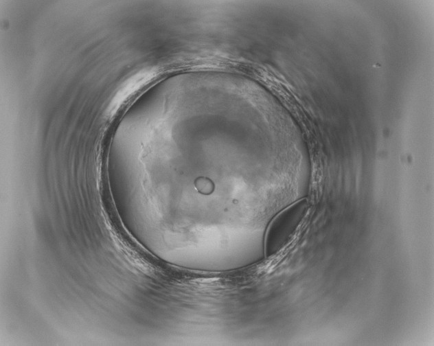 X0000087370054200705111720