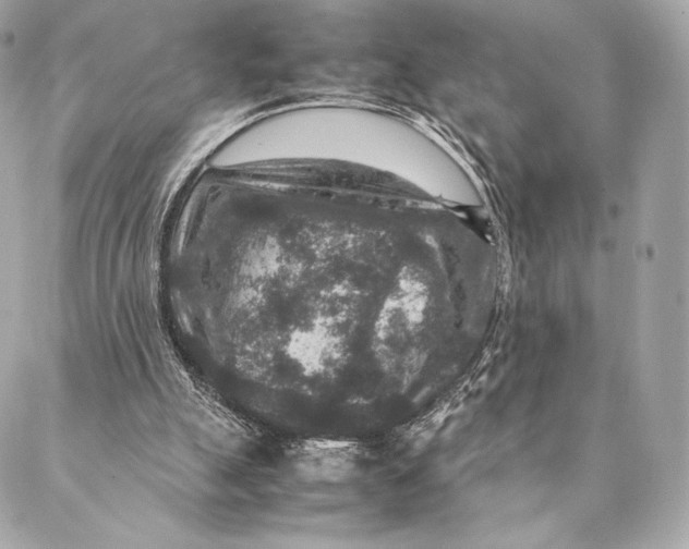 X0000087370055200705111720