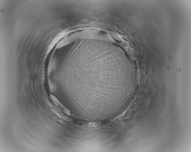 X0000087370056200705111720