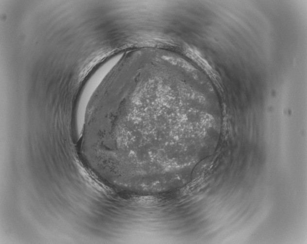 X0000087370058200705111720