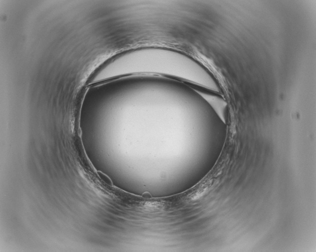 X0000087370060200705111721