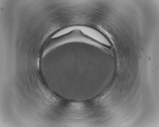 X0000087370067200705111721