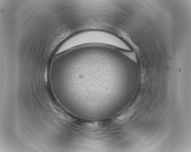 X0000087370068200705111721