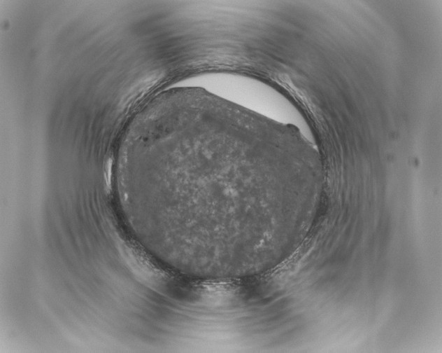 X0000087370070200705111721