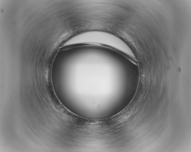 X0000087370072200705111721